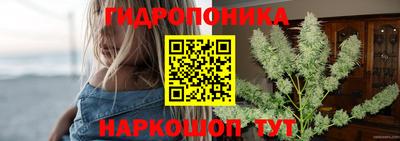 экстази Можга