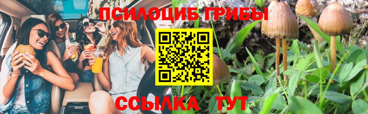 Псилоцибиновые грибы прущие грибы Ступино